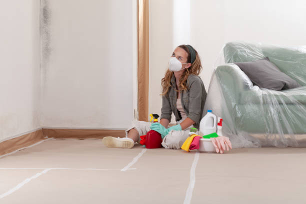 Reliable Mold Removal contractor in Woodbury, MN by WQB Mold Removal